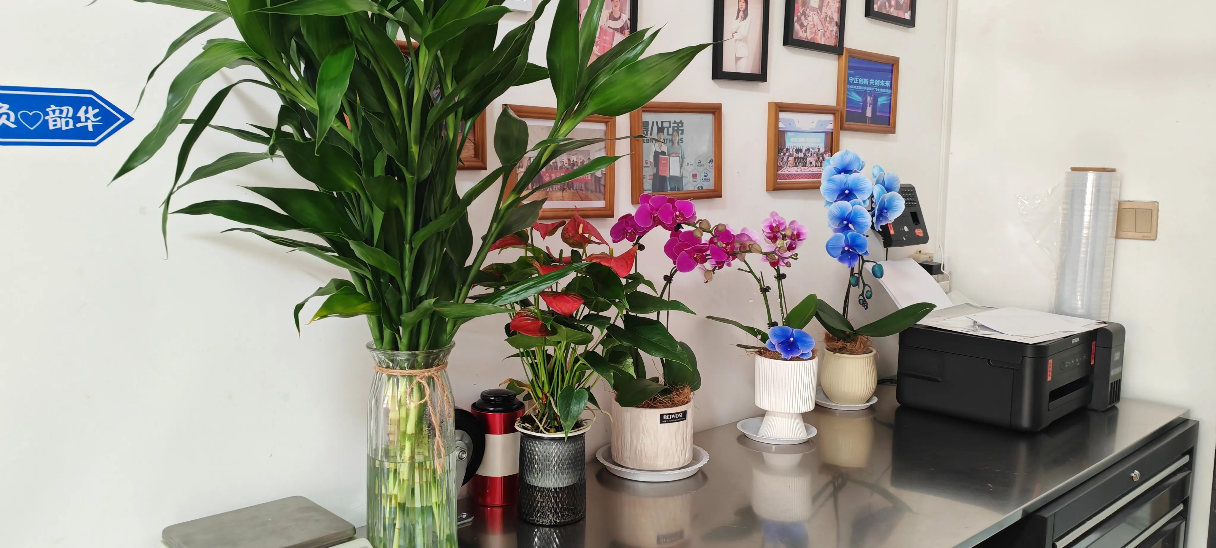 JOJO Pack का नयाँ साथीहरूलाई स्वागत छ!