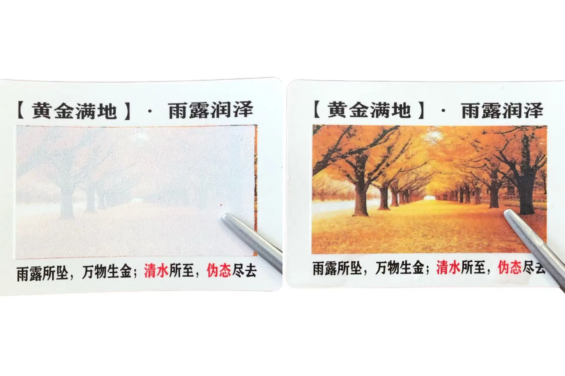 के तपाईंलाई रंग परिवर्तन पानी संवेदनशील लेबलहरू थाहा छ?