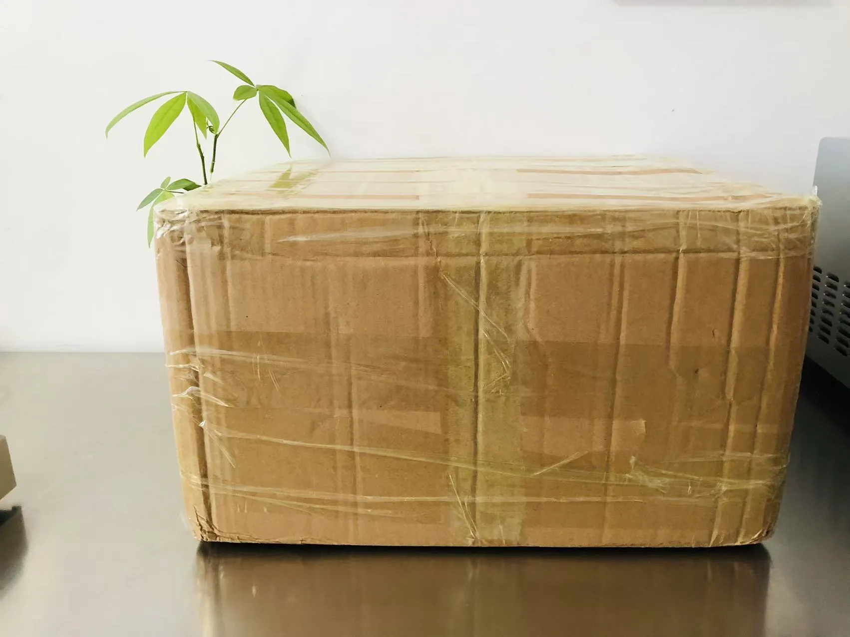 कार्टुन ठोस इपोक्सी स्टिकरहरू अब जापान जाने बाटोमा छन्